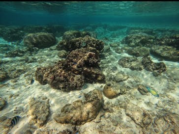 武藤潜水に投稿された画像（2025/2/14）