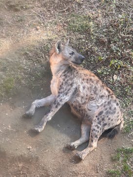 天王寺動物園に投稿された画像（2025/2/14）