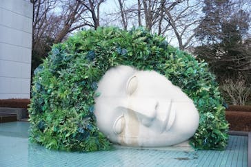 彫刻の森美術館に投稿された画像（2025/2/14）