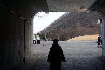 彫刻の森美術館に投稿された画像（2025/2/14）