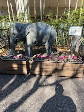恩賜上野動物園に投稿された画像（2025/2/14）