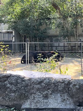 恩賜上野動物園に投稿された画像（2025/2/14）