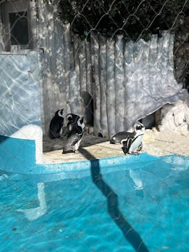 恩賜上野動物園に投稿された画像（2025/2/14）