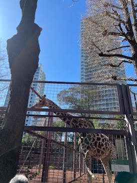 恩賜上野動物園に投稿された画像（2025/2/14）