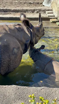 多摩動物公園に投稿された画像（2025/2/14）