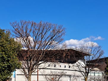 京都水族館に投稿された画像（2025/2/14）