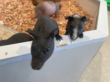 アニタッチPARKイオンモール太田に投稿された画像（2025/2/14）