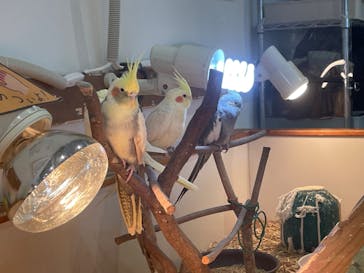 アニタッチPARKイオンモール太田に投稿された画像（2025/2/14）