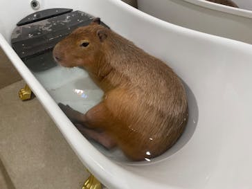 アニタッチPARKイオンモール太田に投稿された画像（2025/2/14）