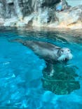 大分マリーンパレス水族館 「うみたまご」に投稿された画像（2025/2/14）