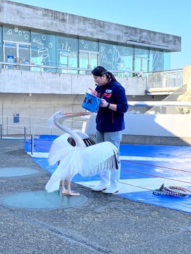 大分マリーンパレス水族館 「うみたまご」に投稿された画像（2025/2/14）