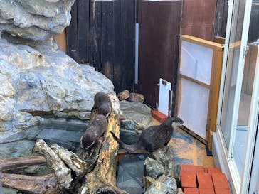 大分マリーンパレス水族館 「うみたまご」に投稿された画像（2025/2/14）