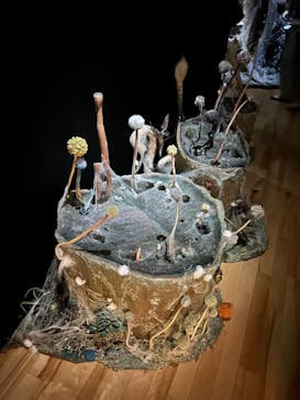 金曜ロードショーとジブリ展　三重展に投稿された画像（2025/2/14）