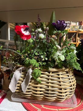 leaf&flower Scent of Gardeniaに投稿された画像（2025/2/14）