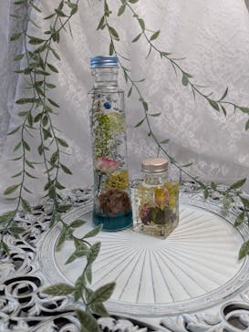 ずこうしつ〜sugamo〜に投稿された画像（2025/2/14）