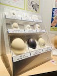 特別展「鳥 ～ゲノム解析が解き明かす新しい鳥類の系統～」国立科学博物館に投稿された画像（2025/2/14）