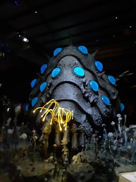 金曜ロードショーとジブリ展　三重展に投稿された画像（2025/2/14）