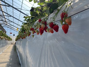 山万ユーカリファームに投稿された画像（2025/2/14）