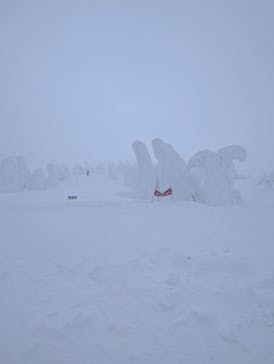 阿仁スキー場に投稿された画像（2025/2/14）