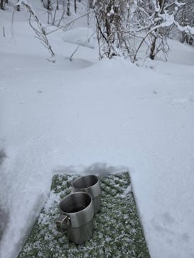 Ezo Nature ACT（エゾネイチャーアクト）に投稿された画像（2025/2/14）