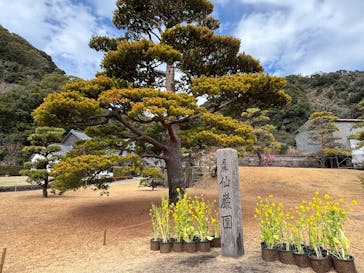 仙巌園に投稿された画像（2025/2/14）