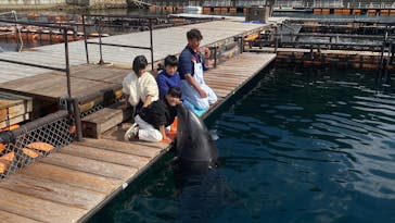 うみたま体験パーク 「つくみイルカ島」に投稿された画像（2025/2/14）