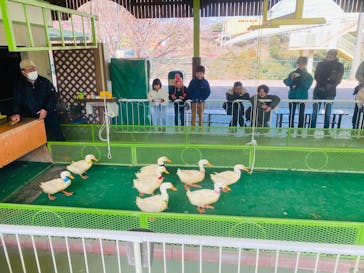 別府ケーブルラクテンチに投稿された画像（2025/2/14）