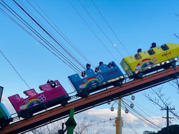 別府ケーブルラクテンチに投稿された画像（2025/2/14）