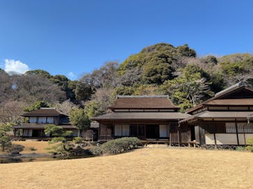 三溪園に投稿された画像（2025/2/14）