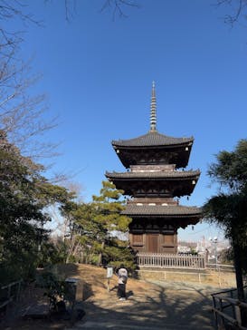 三溪園に投稿された画像（2025/2/14）