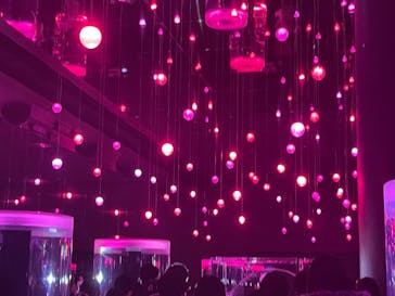 マクセル アクアパーク品川に投稿された画像（2025/2/14）