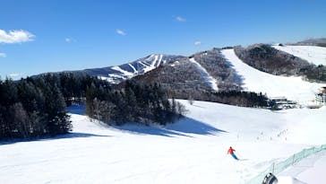 菅平高原スノーリゾートに投稿された画像（2025/2/14）