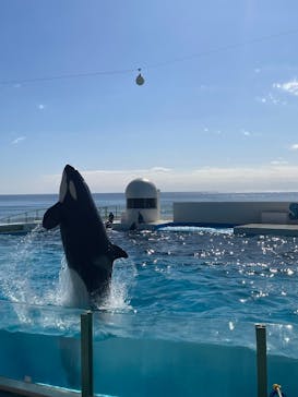 鴨川シーワールドに投稿された画像（2025/2/14）