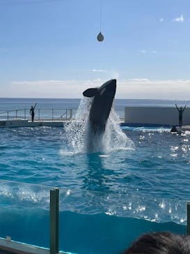 鴨川シーワールドに投稿された画像（2025/2/14）