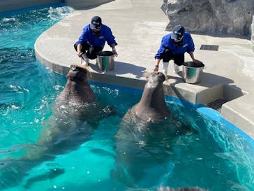 鴨川シーワールドに投稿された画像（2025/2/14）