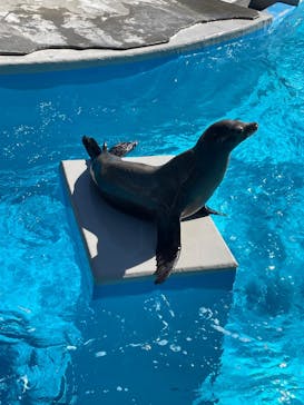 鴨川シーワールドに投稿された画像（2025/2/14）