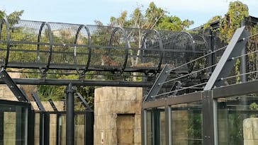 沖縄こどもの国に投稿された画像（2025/2/14）