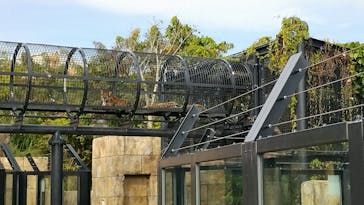 沖縄こどもの国に投稿された画像（2025/2/14）