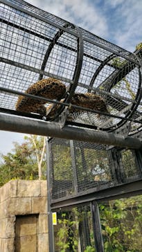 沖縄こどもの国に投稿された画像（2025/2/14）