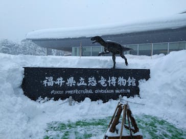 福井県立恐竜博物館に投稿された画像（2025/2/14）