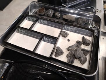 福井県立恐竜博物館に投稿された画像（2025/2/14）