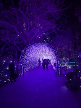 江の島シーキャンドルに投稿された画像（2025/2/15）