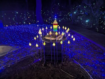 江の島シーキャンドルに投稿された画像（2025/2/15）