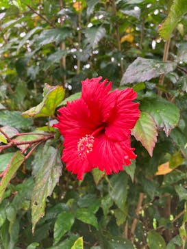 石垣島鍾乳洞に投稿された画像（2025/2/15）