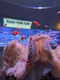 大分マリーンパレス水族館 「うみたまご」に投稿された画像（2025/2/15）