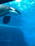 名古屋港水族館に投稿された画像（2025/2/15）