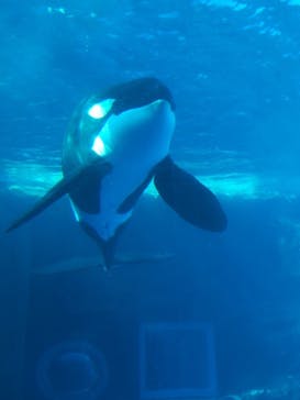 名古屋港水族館に投稿された画像（2025/2/15）