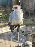 恩賜上野動物園に投稿された画像（2025/2/15）