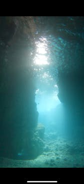 武藤潜水に投稿された画像（2025/2/15）