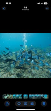 武藤潜水に投稿された画像（2025/2/15）